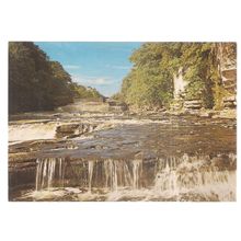 AYSGARTH LOWER FORCE, YORKSHIRE unused vintage postcard, J.Arthur Dixon =