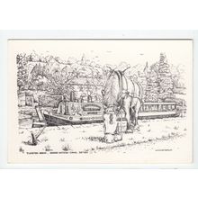 Horse at Tiverton Basin Grand Western Canal Postcard