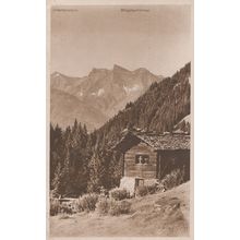 Bifertenstock Brigelserhorner Old German Postcard