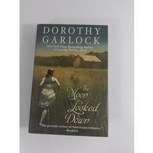 The Moon Looked Down By Dorothy Garlock 2009 large prin hard copy fiction novel