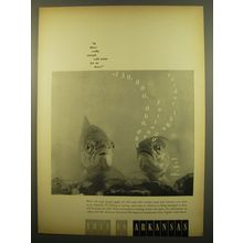1961 Arkansas Tourism Ad - Is there really enough cold water for us here?