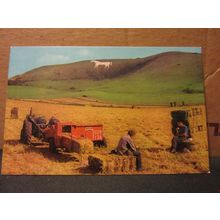 STRAW BALING UNDER THE WHITE HORSE, WESTBURY, WILTSHIRE. unused postcard =