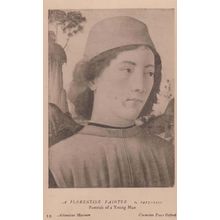 Florentine Portrait Of A Young Man Old Ashmolean Museum Painting Postcard