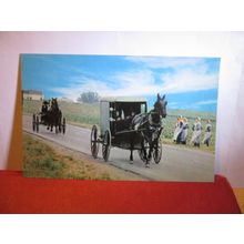AMISH FAMILY CARRIAGE, DUTCH COUNTRY, PENNA, PENNSYLVANIA, USA unused postcard #