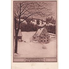Freudenstadt Das Barenschlossl German Postcard