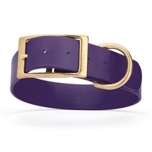 Dog Pet Collar with Brass Hardware Size XL W 1.5” L 20” - 24” Violet Purple