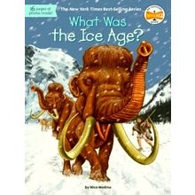 What Was the Ice Age - Nico Medina; David Groff