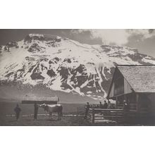Cow Visiting Klubhutte Restaurant Adelboden Swiss Old Postcard