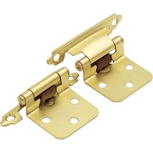 20 Pairs 40 Units Goldenwarm Kitchen Cabinet Hinges Brass Flush Hinges Self Clos