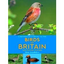 A Naturalist's Guide To The Birds Of Britain And Northern Europe (2Nd Edition)