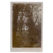 FAIRLIGHT GLEN, HASTINGS, SUSSEX. used postcard 1921 postmark =