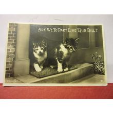 ARE WE TO PART LIKE THIS BILL? kittens used vintage postcard RP c. 1936