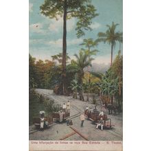 Sao Thome Tome African Boe Entrada Transportation Old Postcard