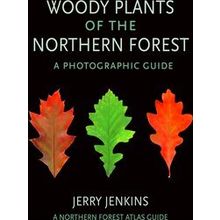 Woody Plants Of The Northern Forest