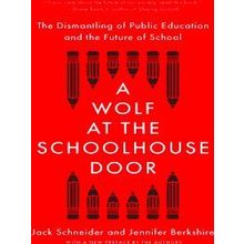 A Wolf At The Schoolhouse Door: The Dismantling Of Public Education And The Futu
