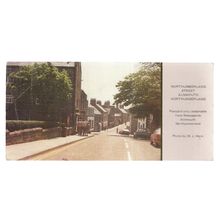 NORTHUMBERLAND STREET, ALNMOUTH used postcard 1989 postmark Limited Edition =