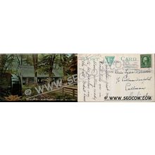 CT New London Postcard Ye Olde Town Mill Erected 1650 w/Horses & Wagons ct~1960