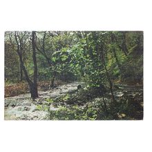 HORNER WOODS, MINEHEAD, SOMERSET used postcard by Plastichrome 1963 postmark =