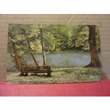WAGGONERS WELLS, near HINDHEAD, SURREY unused vintage postcard by F. Frith =