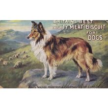Britains Best Biscuit For Foxhounds Hunting Dogs Old Advertising Postcard