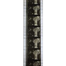 NOTORIOUS. Pk MTP - A015o. 1 STRIP OF 5 - 35MM FILMCELLS