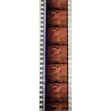 VAMPIRES. Pk MTP - A016p . 1 STRIP OF 5 - 35MM FILM CELLS. MTP
