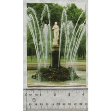 1996 postcard St Petersburgh, Peterhof, The Eve Fountain