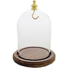 3"X4" Pocket Watch Glass Display Dome Cloche Real Walnut Wood Base & Gold Brass