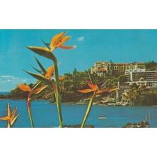 Reids Hotel Madeira Portugal Postcard