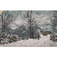 Lady Edith Drive At Christmas Snow Scarborough Antique Postcard