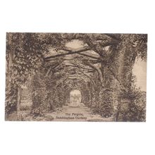 THE PERGOLA, SANDRINGHAM GARDENS, NORFOLK unused antique postcard #