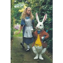 Forever Alice In Wonderland Real Photo Modern Art Postcard