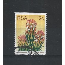 SouthAfrica.SG432 2c Mimetes Cucullatus.Fine Used.Sep25m