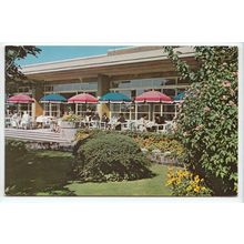 Sun Pavilion Terrace Derry & Toms Roof Garden Kensington London Postcard DT4