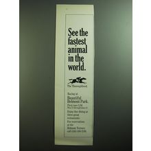 1970 Belmont Park Ad - See the fastest animal in the world