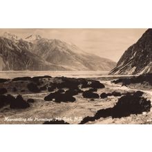 Approaching The Hermitage Mount Cook New Zealand RPC Postcard