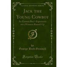 Jack the Young Cowboy: An Eastern Boy's Experience on a Western Round-Up