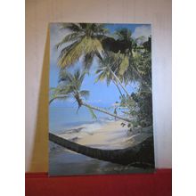 CORAL SANDS, PIGEON POINT, TOBAGO unused postcard Trinidad & Tobago =