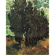 Vincent Van Gogh - The Cypresses 1889 Poster Canvas Movie Film Print A0 A1 A2 A3