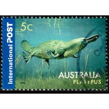 Australia 2006 Platypus 5c Used International Stamp .