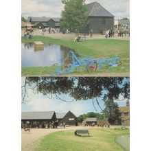 Thorpe Farm Park Essex Cattle Cafe Shed 2x Postcard s