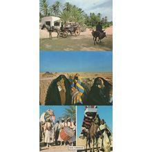 Gabes Le Cafe De La Cascade Tunis 3x Postcard s