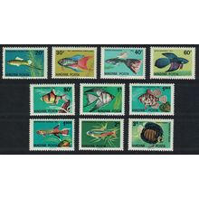 Hungary Aquarium Ornamental Fishes 10v 1962 MNH SG#1796-1805