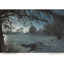 Colne Valley Park Aquadrome Hertfordshire at Christmas Winter Postcard
