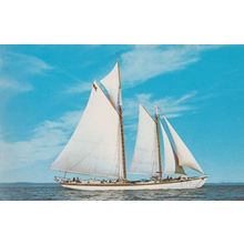 Schooner Adventure Gloucester US Tall Ship Weekly Cruises To Maine 60s Postcard