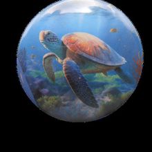 Sea Turtle[ 2.25 inch ]
