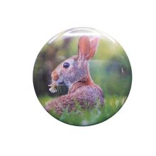 Rabbit[ 2.25 inch ]
