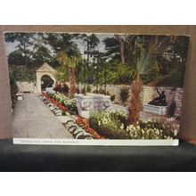 PALM COURT, COMPTON ACRES, Poole, Dorset. unused vintage postcard by J. Salmon =