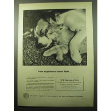 1950 E.R. Squibb & Sons Ad - From experience comes faith - Cat & Dog