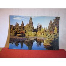 SHEFFIELD PARK GARDENS, Sussex.. unused postcard J.Arthur Dixon Sussex 1403 =
